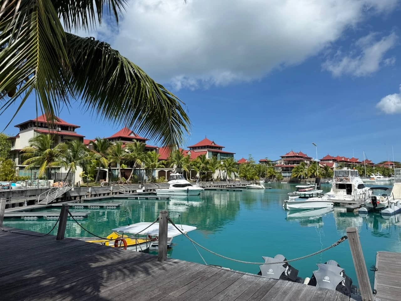 Sechs Tage im Paradies (und nur sechs Bier) - Mojo Sailing logbook entry from Mahé, Seychelles