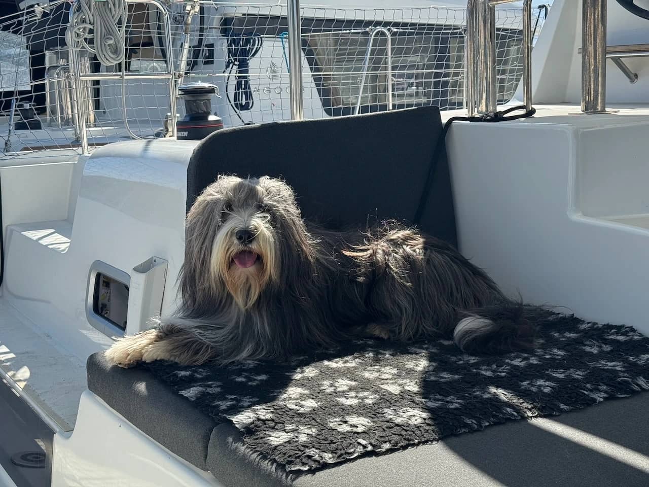 Sardinien & Korsika: 8 Menschen, 2 Hunde, 42 Fuss - Mojo Sailing logbook entry from Olbia, Sardegna